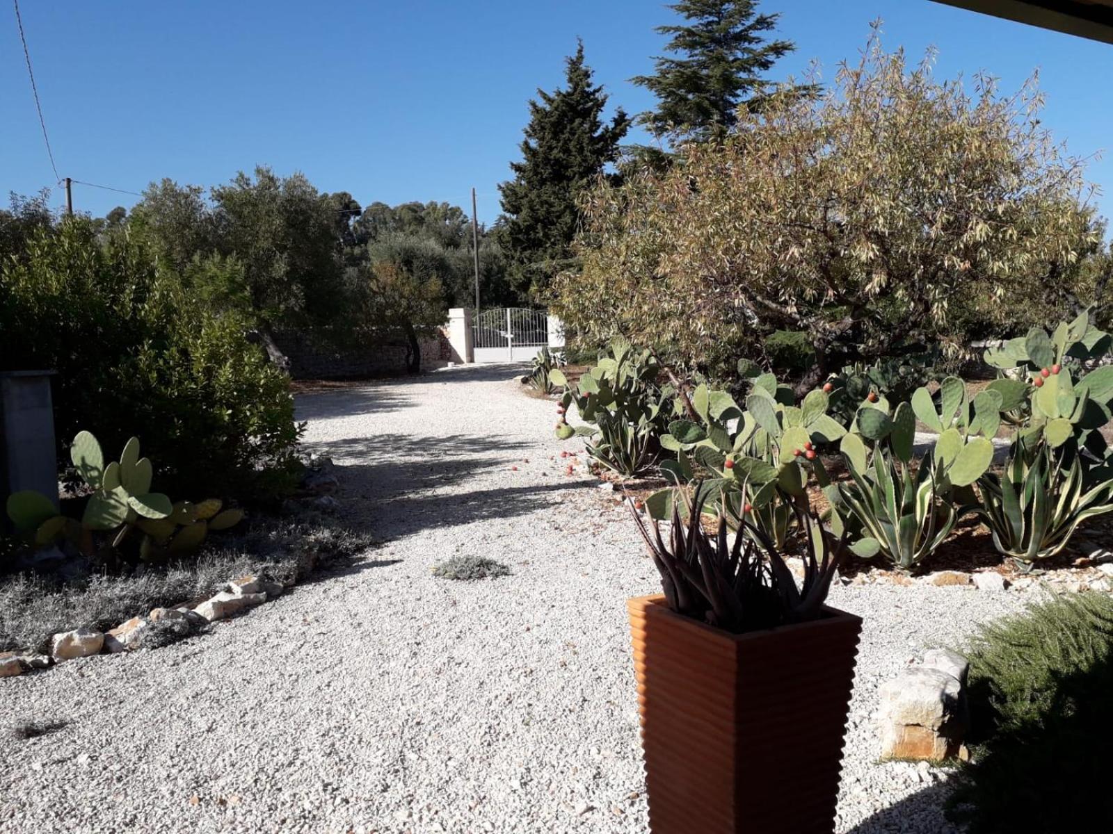 Masseria Due Torri 모노폴리 객실 사진