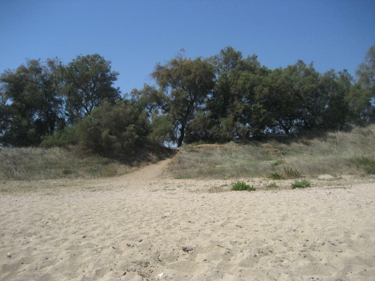 Masseria Due Torri 모노폴리 객실 사진